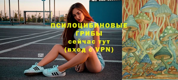 стафф Алзамай