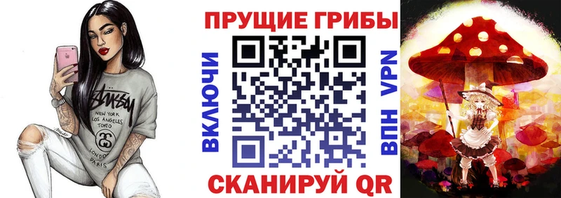 наркошоп сайты даркнета как зайти Псилоцибиновые грибы MAGIC MUSHROOMS Ивдель